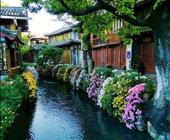 济宁旅行社排名去云南的线路 花样旅途-昆大丽双飞一动5晚6天