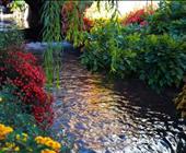 济宁大安机场出发花游记去云南旅游新婚旅游去云南多少钱去西双版纳多少钱济宁去云南的旅行社