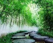 31条济宁出发的周边二日游 济宁出发的周边好玩的景点大全 济宁旅行社排名 2025566