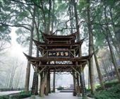 全景游 济宁出发的到成都九寨沟的景点线路大全 济宁旅行社排名 济宁青年旅行社