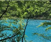 礼遇成都产品 成都自由行-都江堰-青城山-峨眉山-乐山大佛精品六日游