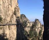 济宁出发的到老君山的最新行程报价 济宁到老君山的景点大全 济宁出发的到老君山的特价 2025566