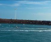 济宁机场直飞海口的行程价格是多少|海口三亚有什么好玩的|去三亚的旅游攻略|济宁旅行社电话