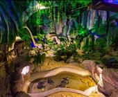 济南泉城极地海洋世界一日游济宁到济南海洋馆的行程线路