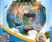 泰安太阳部落一日游济宁出发到太阳部落的一日游路线最近泰安新开的景区叫什么名字去旅游需要多少钱