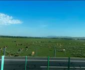 济宁出发到草原的线路，坝上草原 锡林郭勒草原 乌兰布统草原的行程 避暑山庄