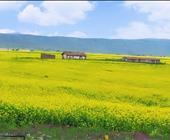 暑期西欧:德法意瑞 4 国 12 日游