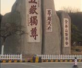 济宁出去到泰山的一日游有济宁旅行社有去泰山的线路吗去泰山多少钱济宁春秋国际旅行社报价电话是多少