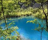 济宁出发到甘南的线路火车兖州高铁直达 天水古城 九寨沟 黄龙 麦积山 扎尕那 若尔盖大草原 等景点