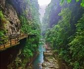 济宁高铁出发线路 华东五市|灵山大佛|乌镇西栅|纯玩高铁五日游