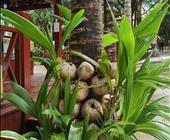 高铁到杭州+乌镇西栅西塘四日|苏杭两周有什么地方玩|苏州杭州必去的景点|第一次去苏州杭州怎么省钱