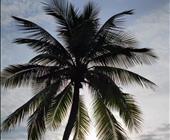 济宁到三亚的蜜月游蜈支洲岛亚龙湾天堂公园新婚蜜月去海南度假最合适的线路选择