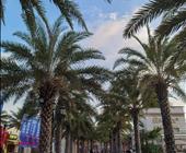 新婚蜜月海南旅游线路最适合新婚蜜月的海南旅游线路最新报价双飞六日游幸福彼岸5