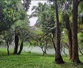 济宁出发高铁到华东的行程景点|苏州杭州上海南京无锡的行程|苏州杭州上海必去的景点有哪些