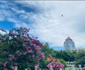 济宁到厦门的行程|济宁直飞厦门的飞机|济宁旅行社哪家好|厦门鼓浪屿|厦门大学
