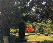 济宁到苏州杭州西塘上海线路|济宁坐大巴车去华东需要多长时间|杭州西塘