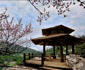 济宁出发 济南九如山瀑布群一日游