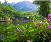 济宁周边游   旅行社地接线路主要包括曲阜三孔（孔庙孔林孔府）、圣境尼山、梁山、汶上宝相寺等