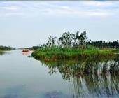 济宁到扬州恐龙园的二日游线路三月烟花下扬州