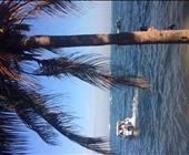 自在沙巴 4晚6日