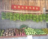 头号玩家普吉岛5晚7天游