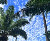 漫游普吉： 南京·普吉岛 ~7天5晚休闲游