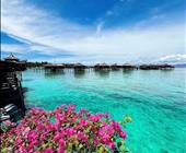 济南直飞芽庄：【纯净芽庄 】5晚6天